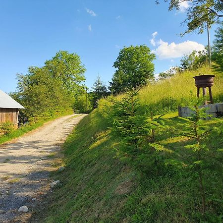 Cabana Valea Lui Mas Robaia Exterior foto