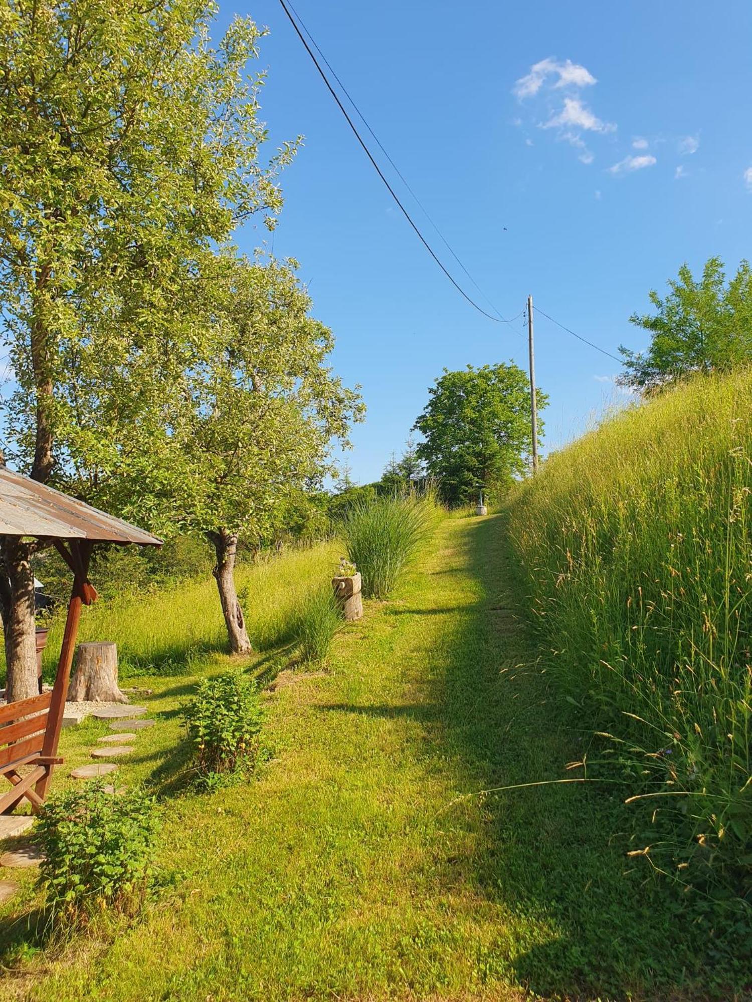 Cabana Valea Lui Mas Robaia Exterior foto