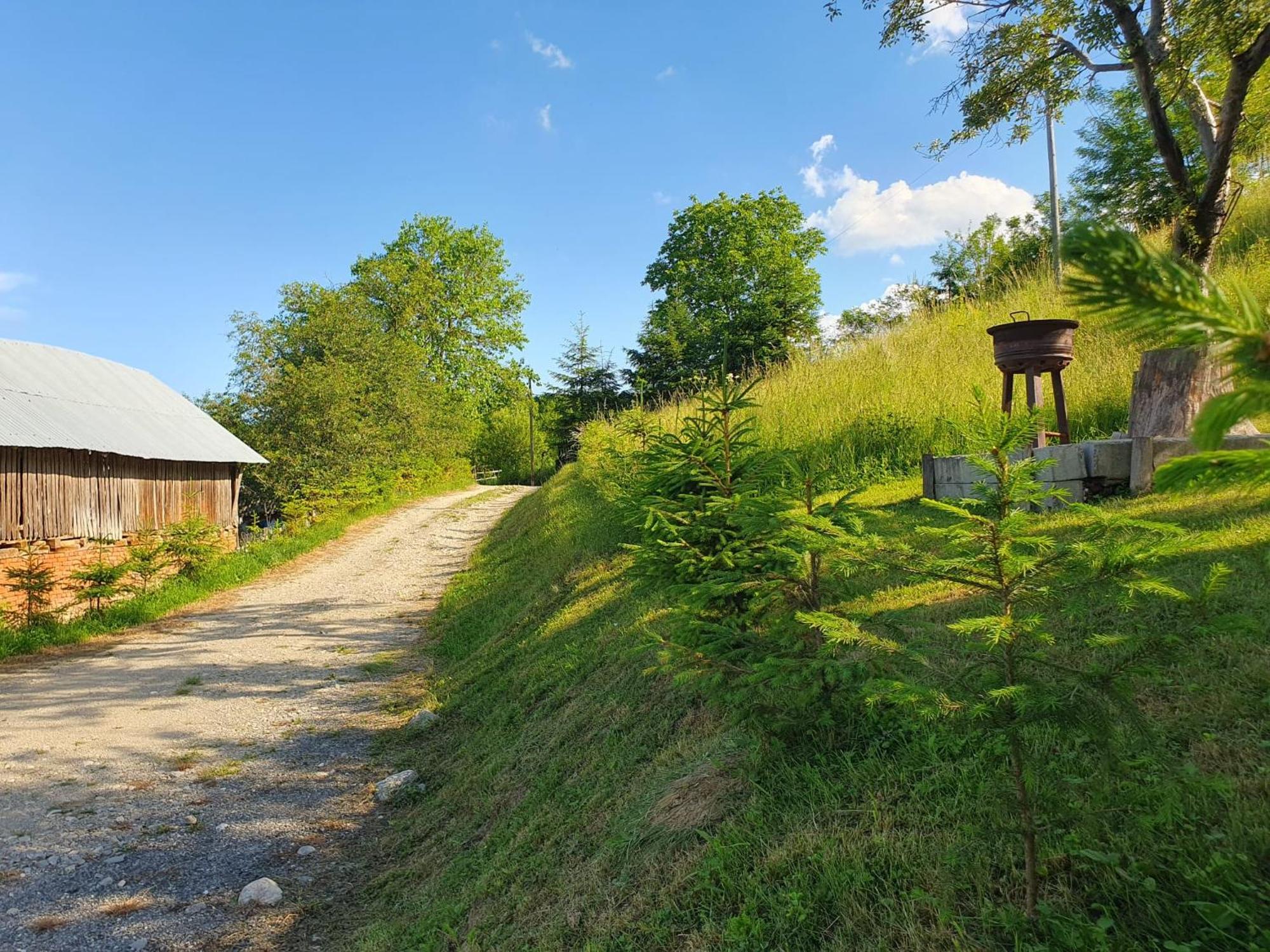 Cabana Valea Lui Mas Robaia Exterior foto
