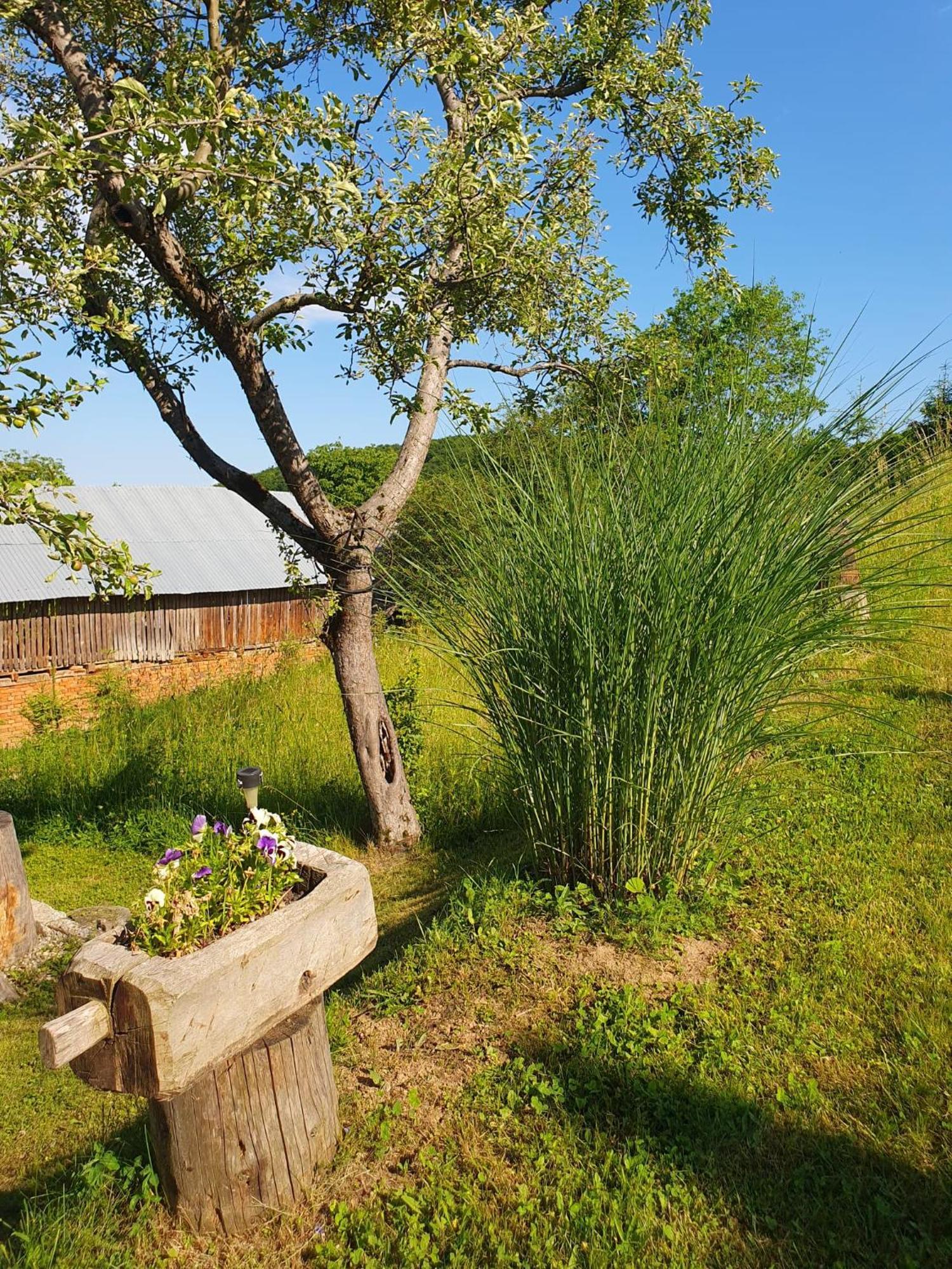 Cabana Valea Lui Mas Robaia Exterior foto