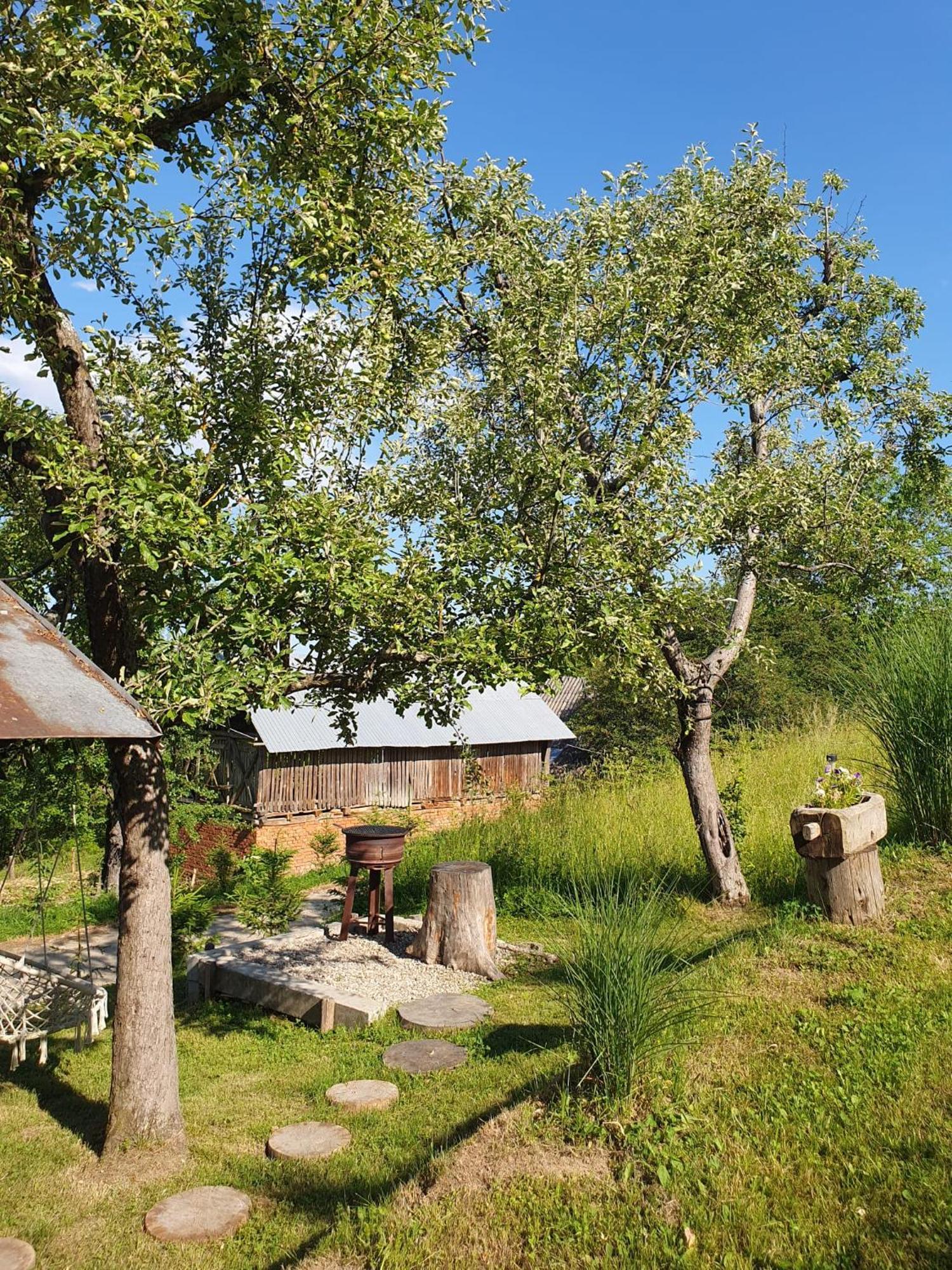 Cabana Valea Lui Mas Robaia Exterior foto