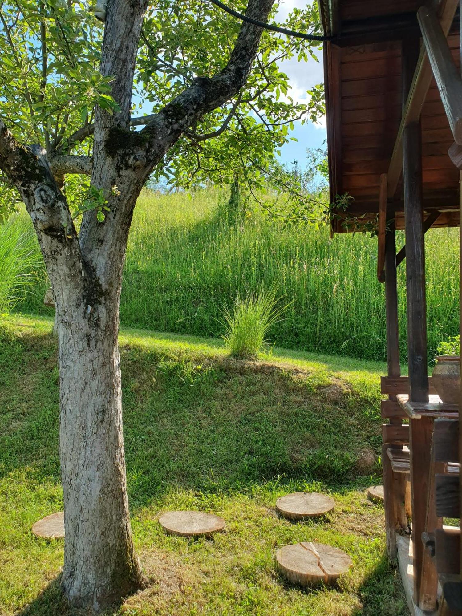 Cabana Valea Lui Mas Robaia Exterior foto