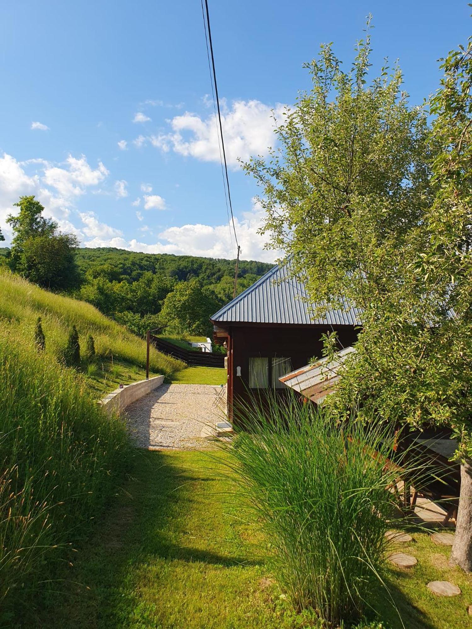 Cabana Valea Lui Mas Robaia Exterior foto