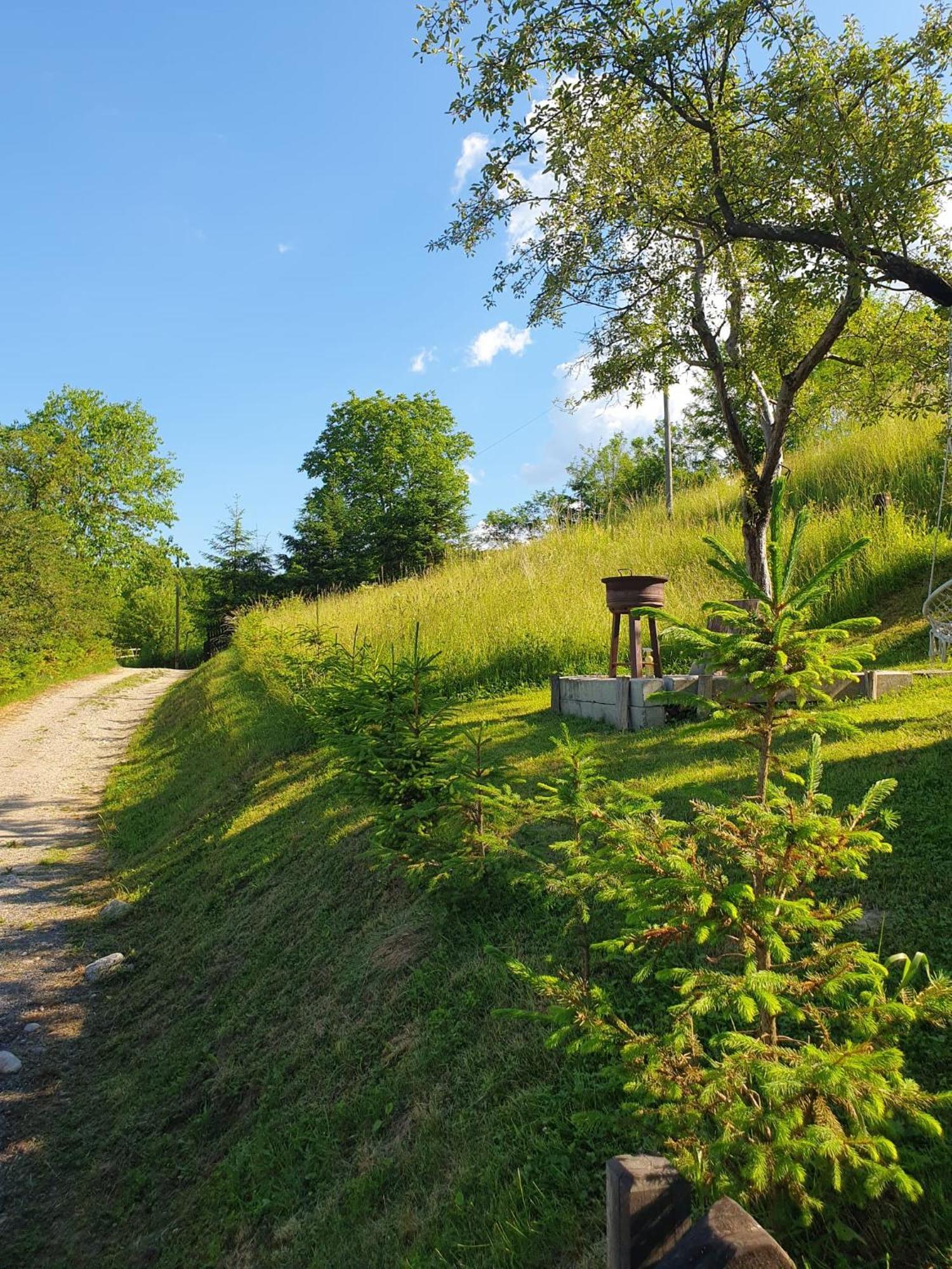 Cabana Valea Lui Mas Robaia Exterior foto