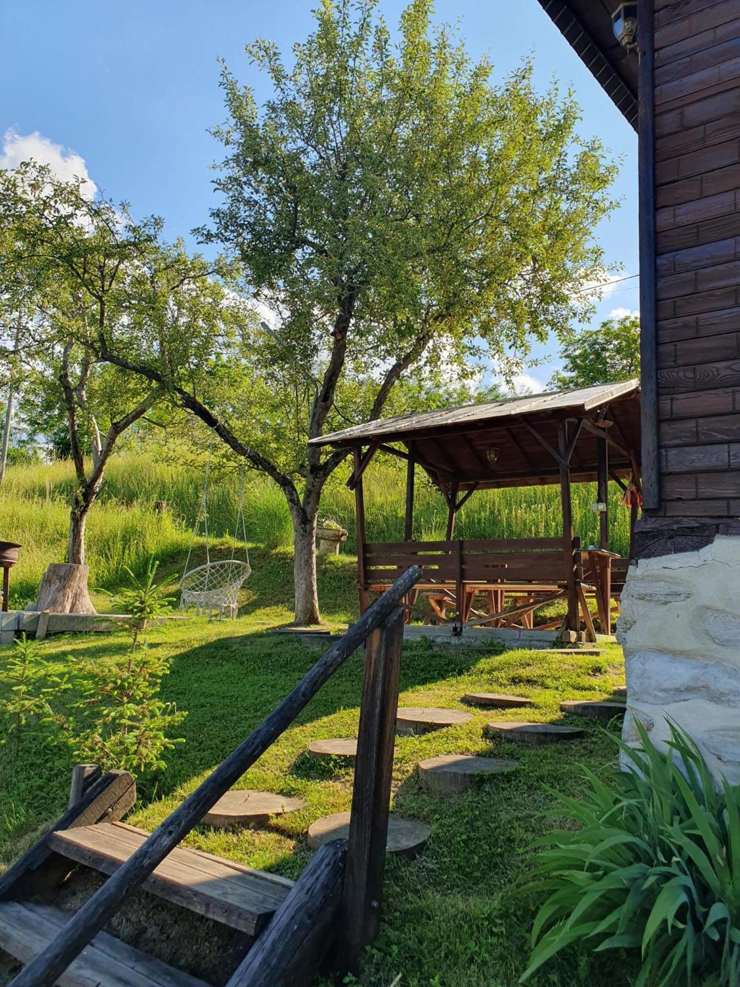 Cabana Valea Lui Mas Robaia Exterior foto