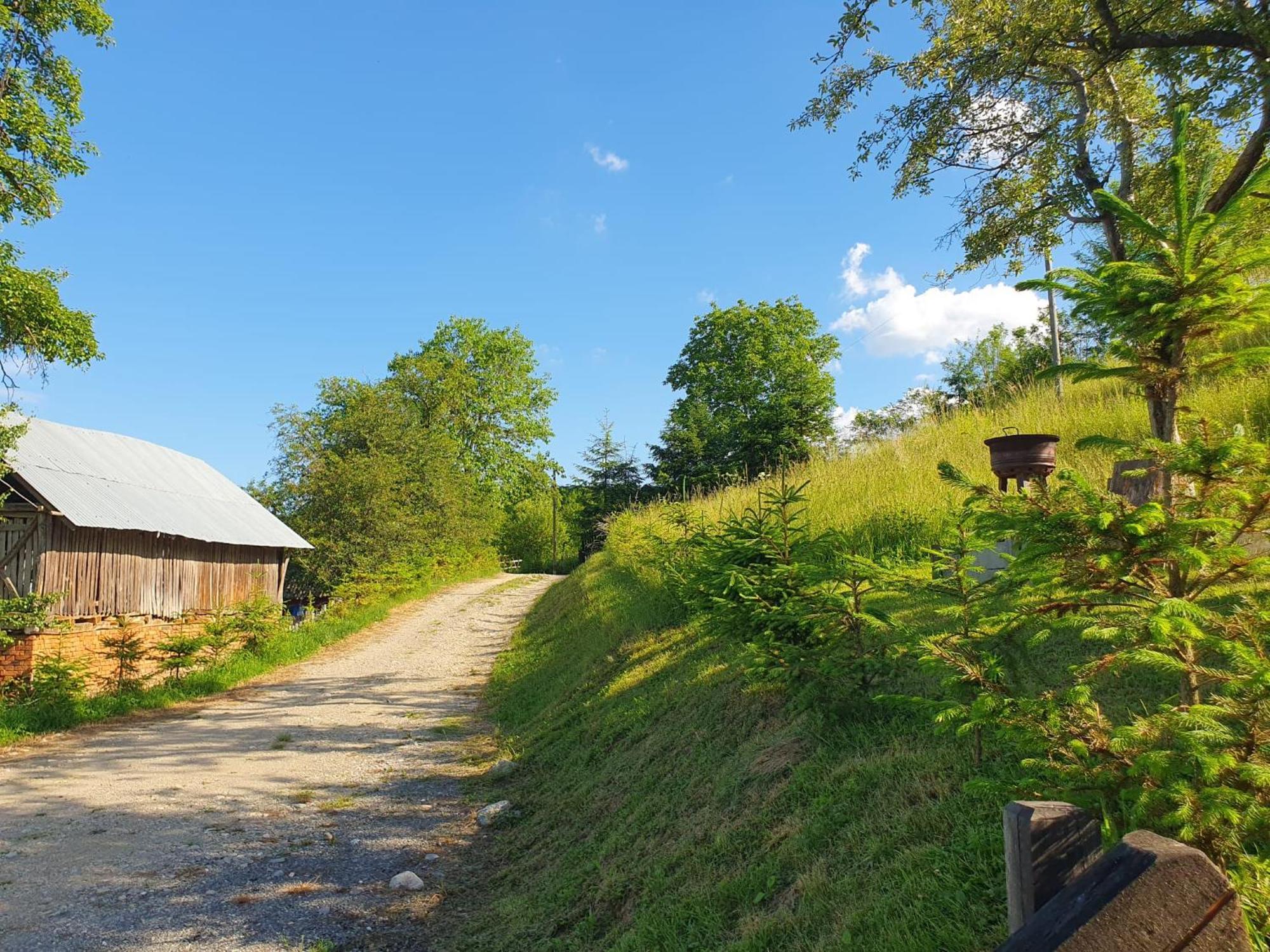 Cabana Valea Lui Mas Robaia Exterior foto