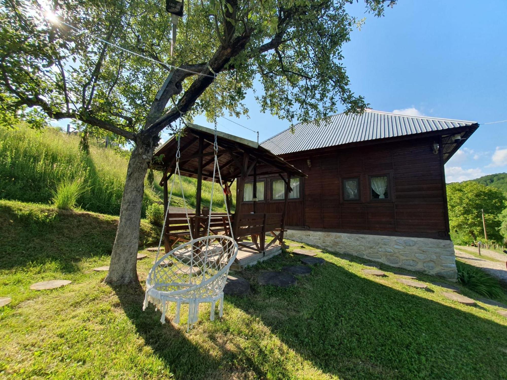Cabana Valea Lui Mas Robaia Exterior foto