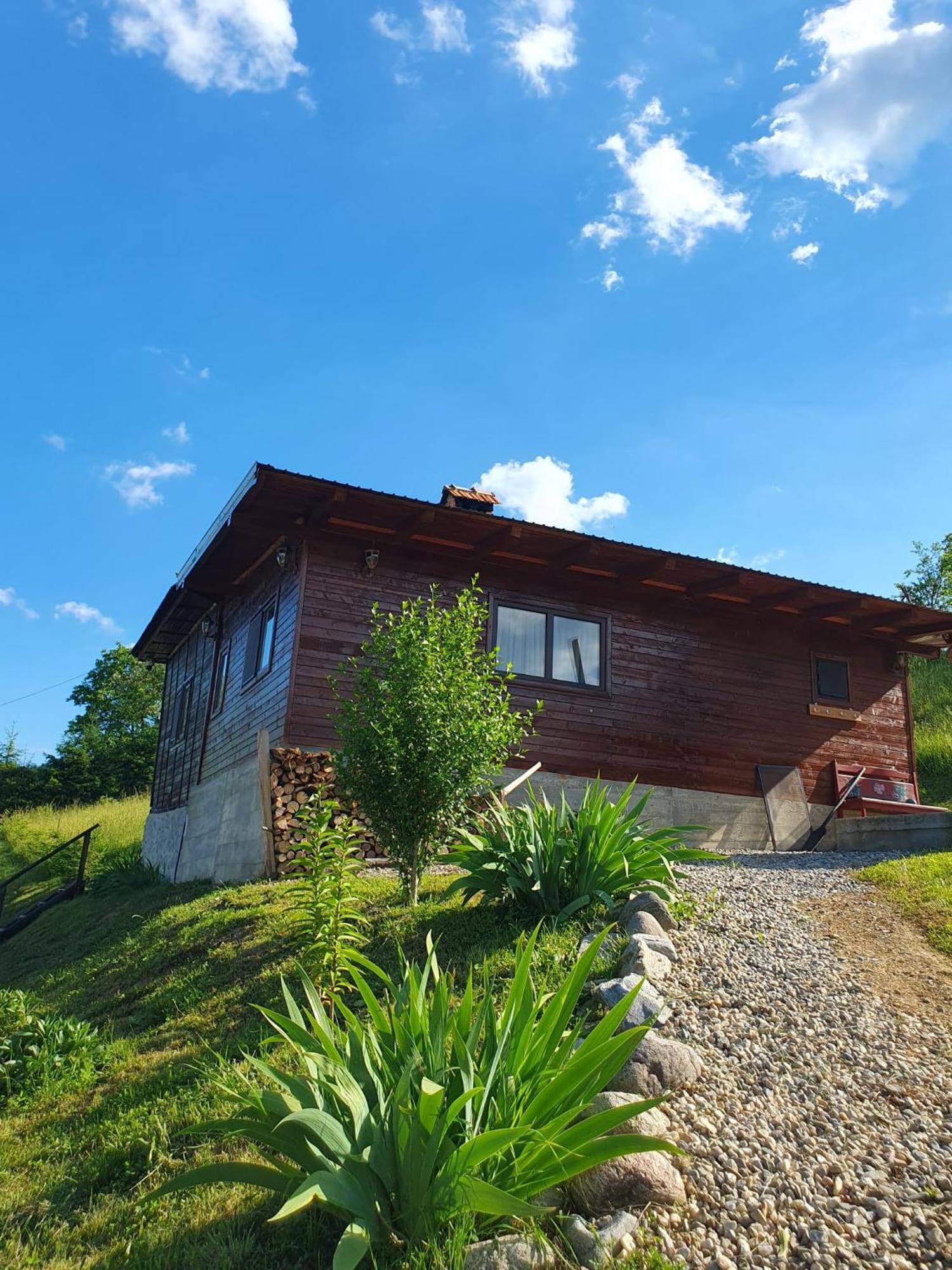 Cabana Valea Lui Mas Robaia Exterior foto