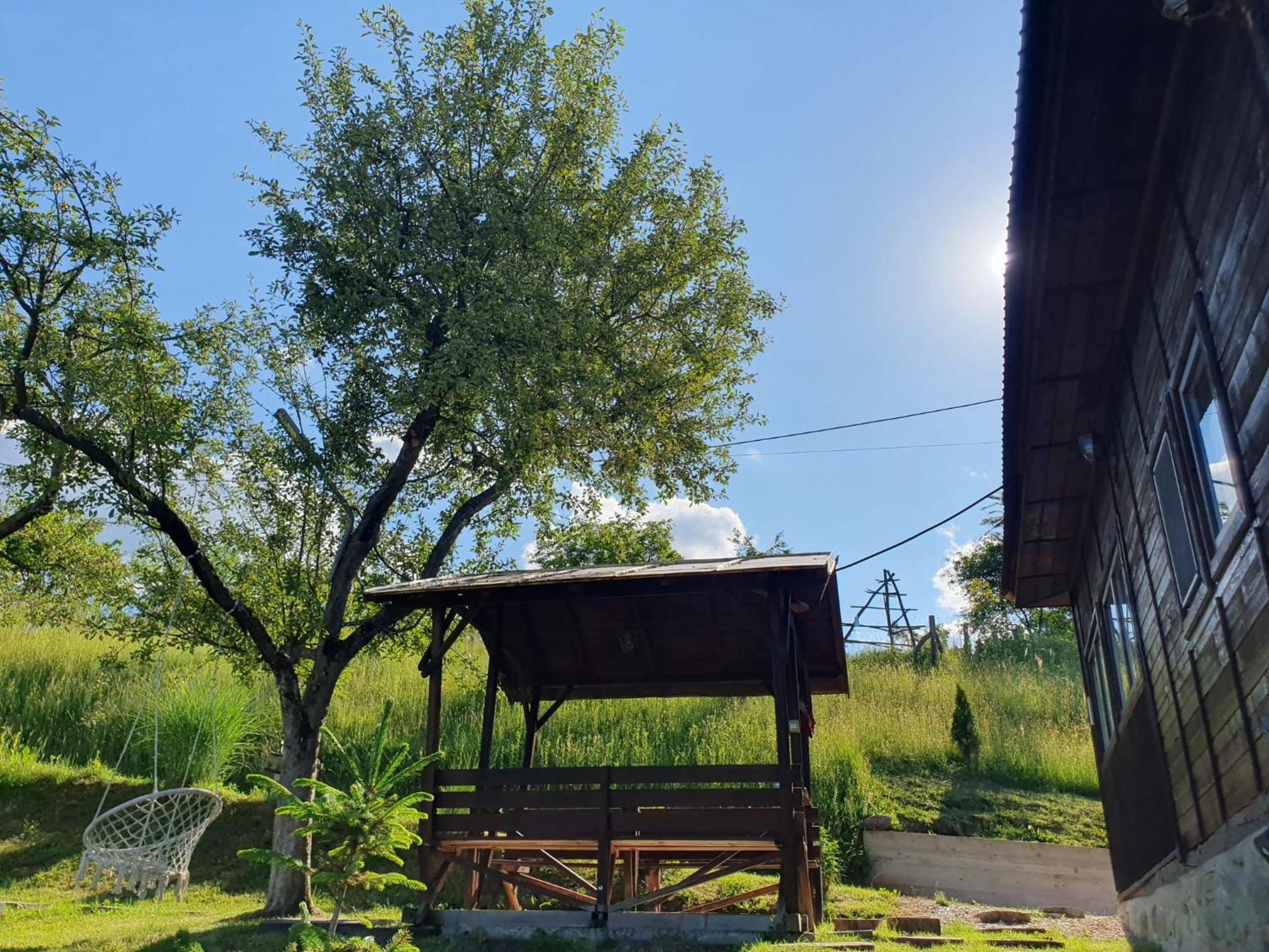 Cabana Valea Lui Mas Robaia Exterior foto