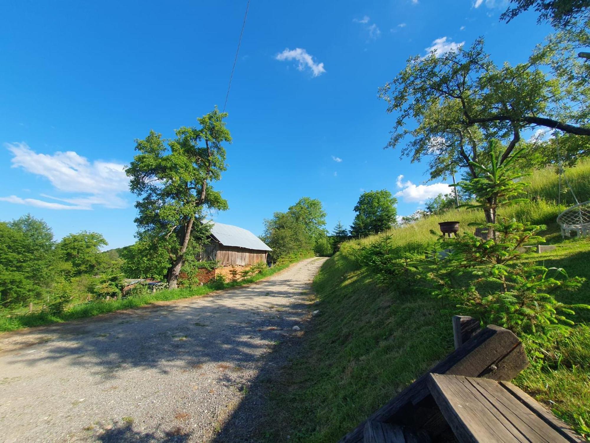 Cabana Valea Lui Mas Robaia Exterior foto