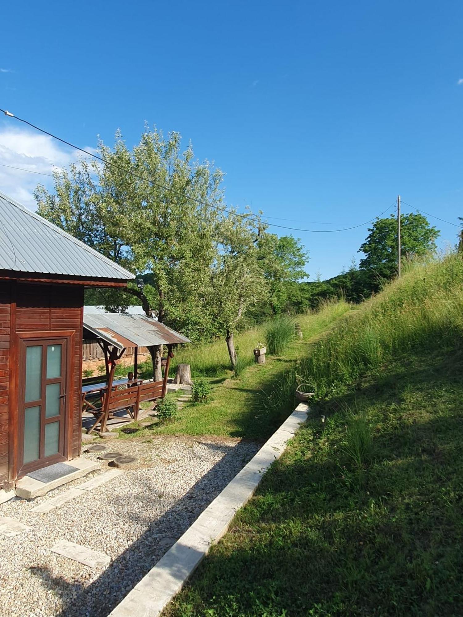 Cabana Valea Lui Mas Robaia Exterior foto